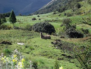 Горная долина в национальном парке ЭльКахас в провинции Асуай.