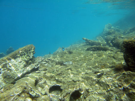 На морском дне в Карибском море около острова Длинный (Исла Ларга).