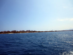 Берег острова Длинный (Исла Ларга).