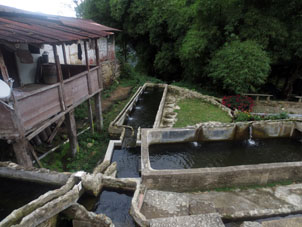 Водоёмы, где разводится форель.