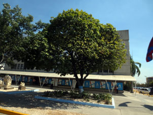 Мэрия Валенсии.