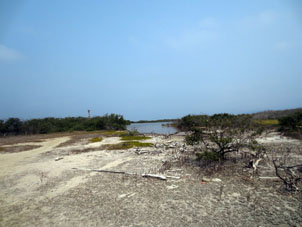 В глубине острова Длинный (Исла Ларга).