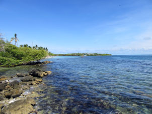 Там, где кораллы, Карибское море обычно прозрачное.