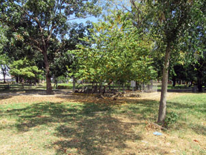 Листопад в парке Федерации в Баринасе.