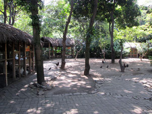 Уголок сельского подворья в Историческом парке Гуаякиля.