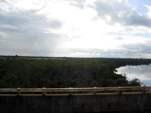 Около водоёмов и водотоков редколесья гуще.