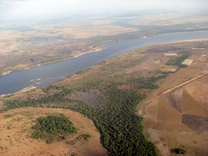Ориноко