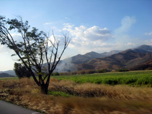 Поля штата Арагуа.