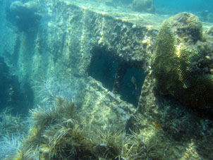 Затонувший корабль становится частью моря.