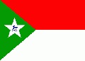 Флаг  венесуэльского штата Трухильо.