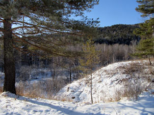 Valle de un pequeño río o arroyo, a 20 kilómetros de la ciudad de Sayanogorsk en la República de Jakasia.