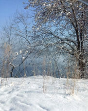 Orilla izquierda del río Enisey.