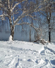 Orilla izquierda del río Enisey.