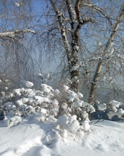 Orilla izquierda del río Enisey.