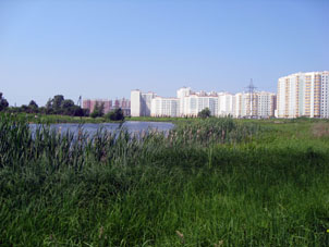 Lago y casas nuevas en la calle Brusílova.