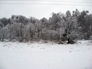 En invierno, Moscú siempre está cubierta con nieve.