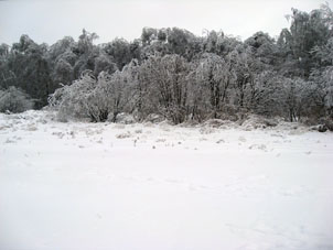 A veces en un invierno, ocurre tiempo tibio, luego llega frío y el agua de la nieve fundida se congela nuevamente formando así un especie de capa de hielo sobre árboles, caminos y las otras superficies.
