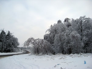 A veces en un invierno, ocurre tiempo tibio, luego llega frío y el agua de la nieve fundida se congela nuevamente formando así un especie de capa de hielo sobre árboles, caminos y las otras superficies.
