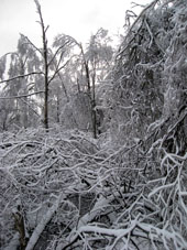 A veces en un invierno, ocurre tiempo tibio, luego llega frío y el agua de la nieve fundida se congela nuevamente formando así un especie de capa de hielo sobre árboles, caminos y las otras superficies.
