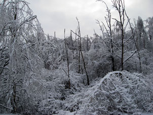 A veces en un invierno, ocurre tiempo tibio, luego llega frío y el agua de la nieve fundida se congela nuevamente formando así un especie de capa de hielo sobre árboles, caminos y las otras superficies.