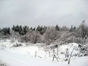 A veces en un invierno, ocurre tiempo tibio, luego llega frío y el agua de la nieve fundida se congela nuevamente formando así un especie de capa de hielo sobre árboles, caminos y las otras superficies.