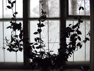 Escarcha en una ventana en la ciudad de Sarápul en invierno.