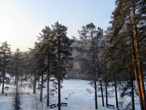 Nueva ojeada al paisaje de Siberia.