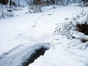 Río Uy bajo hielo y nieve en invierno.