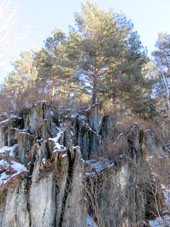 Pinos sobre rocas en la región de Krasnoyarsk.