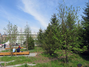 Aquí plantaron un bosque mixto.