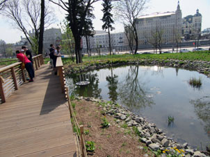 Estanque para plantas acuáticas.