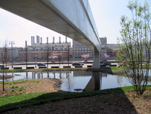 Otro estanque vajo del "Puente aéreo" con plantas acuáticas y de pantanos.