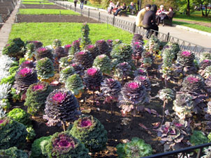 Flores en el Jardín de Alejandro cerca del Kremlin.