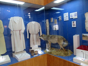 Camidas masculinas medievales y lobo disecado en el museo histórico-etnográfico del municipio de Volokolamsk.