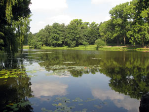 El estanque del parque Kuzminki en Moscú.