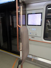 Puesto para coche de inválido (descapacitado) con correas de fijación.