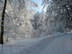 Nieve en Moscú.