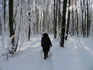Nieve en Moscú.