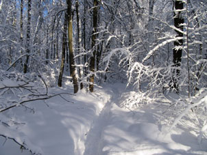 Nieve en Moscú.