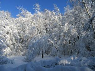 Nieve en Moscú.