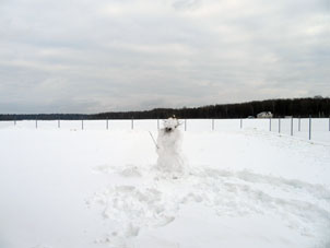 Se puede hacer figuras de manera voluntaria. En ruso, tal figura se llama "snegovik" (hombre de nieve), puede ser "sñézhnaya baba" (Mujer de nieve).